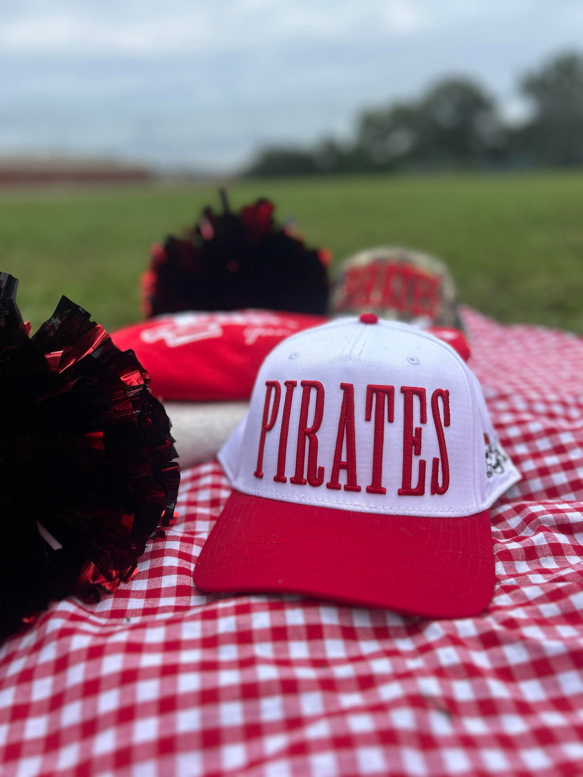 3D Puff Embroidered Hat With Side Detail